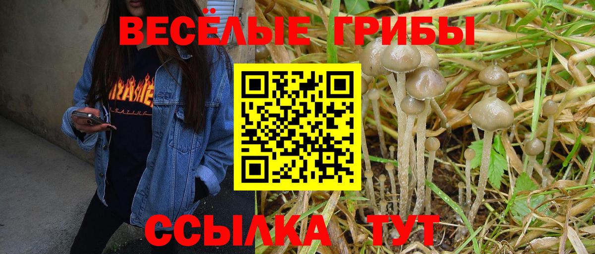 Галлюциногенные грибы Cubensis  Псилоцибиновые грибы мухоморы  Вход с VPN  Ногинск 