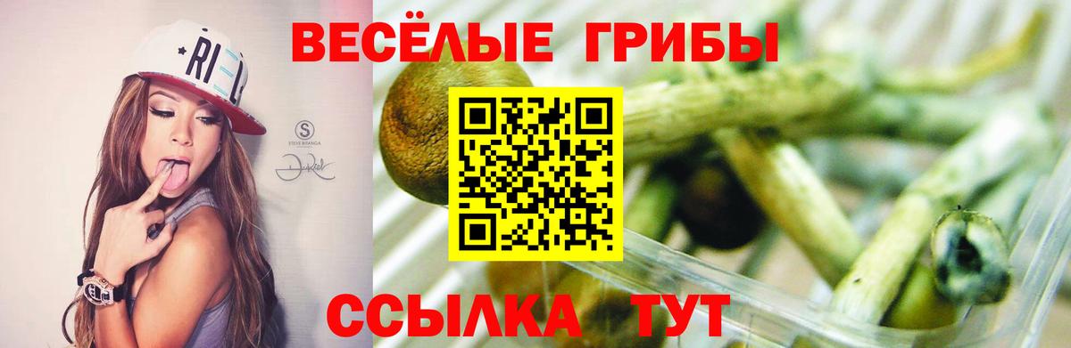 Галлюциногенные грибы мухоморы Ногинск